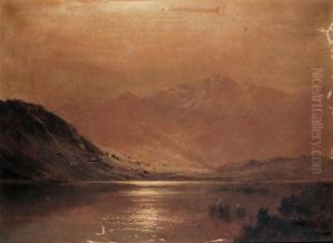 Moonlight, Llyn Gwernan, Dolgellau Moonlight, Llyn Gwernan, Dolgellau