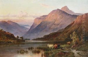 Landscape, Ben Nevis With Highland Cattle