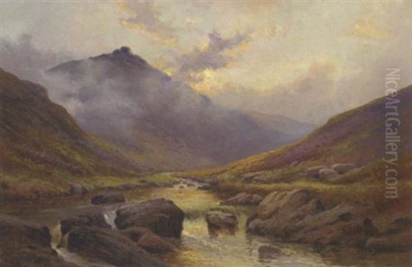 Tavy Cleave, Dartmoor - view 1