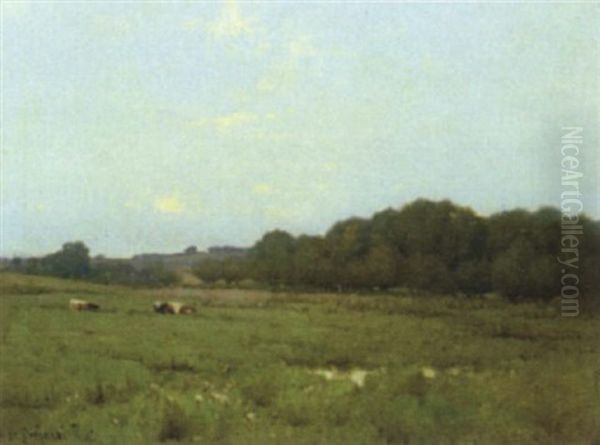On The Marshes, Evening - view 1