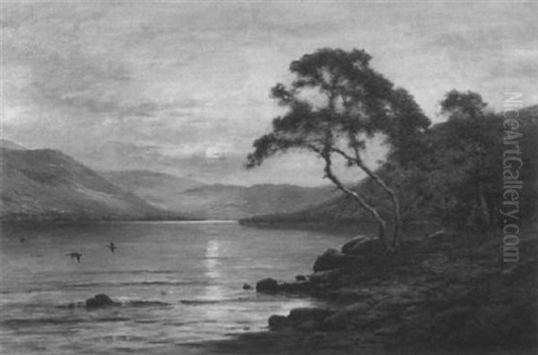 Moonrise At Innisfallen, Killarney - view 1