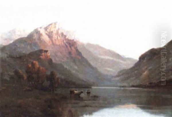 Highland Loch Scene With Cattle Watering - view 1