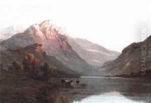 Highland Loch Scene With Cattle Watering