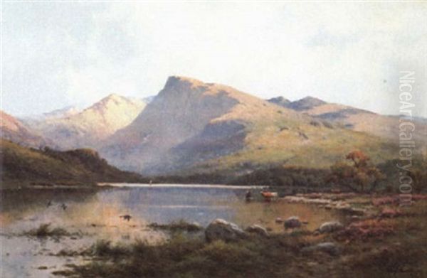 Evening Light, Loch Etive, N.b. - view 1