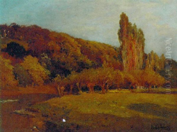 A Sunlit River Landscape - view 1