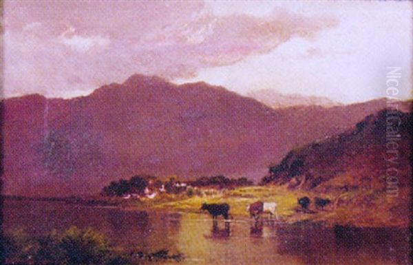 Cattle In A Highland Landscape - view 1