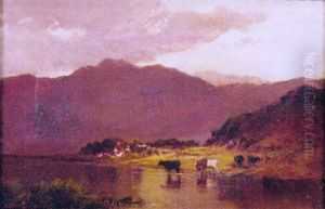 Cattle In A Highland Landscape Cattle In A Highland Landscape