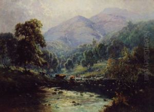 Early Morning In Heart Of Trossachs