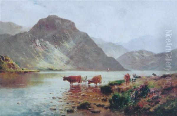 Highland Cattle In A Loch - view 1