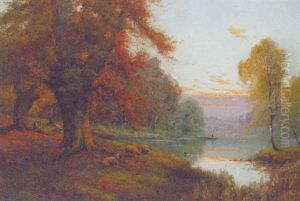 Burnham Beeches At Sunset
