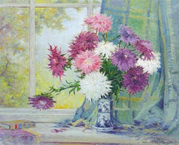 Asters - view 1