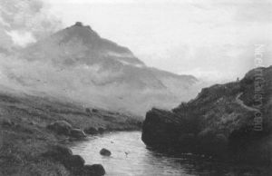 Tavy Cleave, Dartmoor