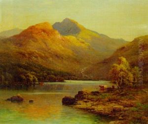 Evening In The West Highlands