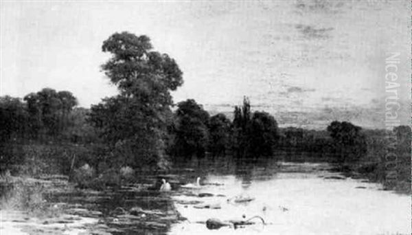 Evening, Cleeve Mill On Thames - view 1
