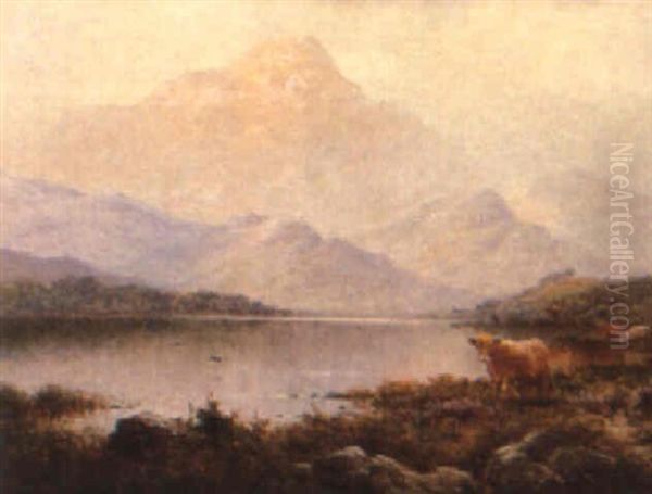 Evening Near Taunuilt - view 1