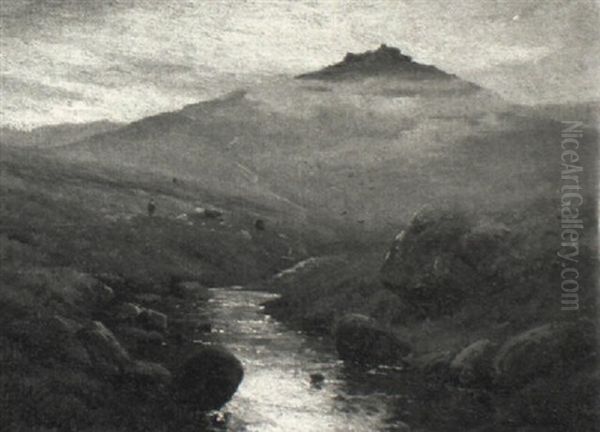 On The Lyd, Dartmoor - view 1
