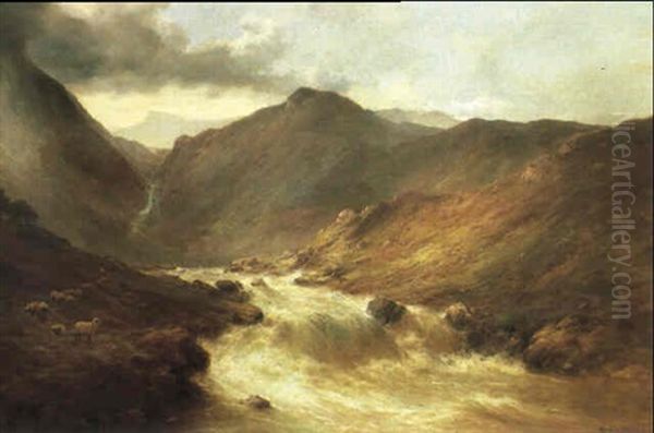 The Waterfalls Of Selkirk - view 1