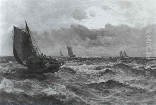 Fishing Off The Coast - view 1