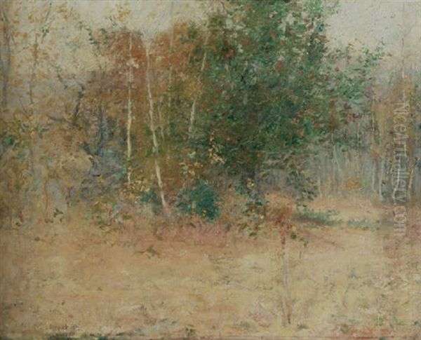 Indian Summer - view 1