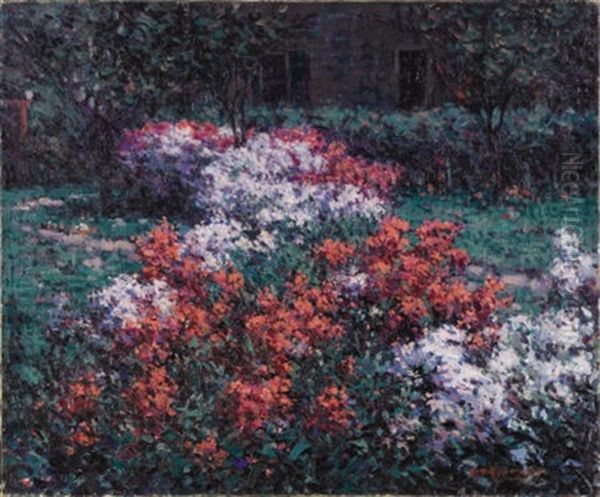 The Phlox Garden - view 1