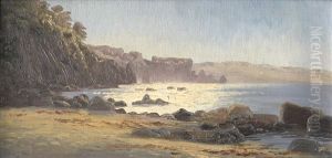Strandpartie Mit Felsiger Kuste Im Sommer by Johan Ulrik Bredsdorff