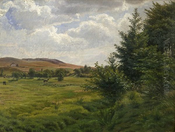 Danische Sommerlandschaft Mit Pferden Und Bauer - view 1