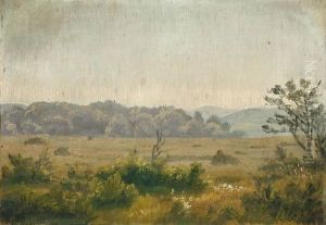 Landschaft Bei Raunsholt In Vendsyssel (nord-jutland) Landschaft Bei Raunsholt In Vendsyssel (nord-jutland)