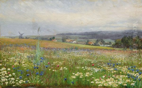 Flowering Meadow - view 1