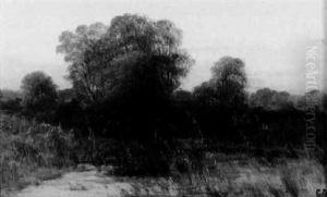 Donauauen Im Herbst by Gustav Bregenzer