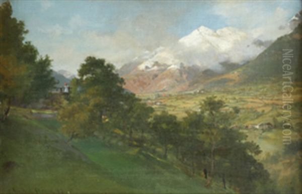 Landskap Med Snedekt Fjell - view 1
