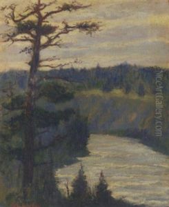 Colorado River by Carl August Breitenstein