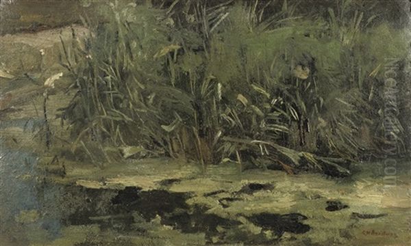 In T Riet; Reed At The Riverbank - view 1
