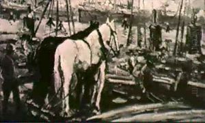 Pferde Im Hafen by George Hendrik Breitner