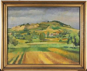 Landschaft Mit Feld Und Blick Auf Eine Ortschaft Mit Anhohe