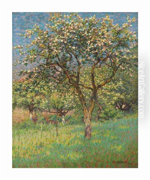 Blossoming Trees In Het Gooi - view 1