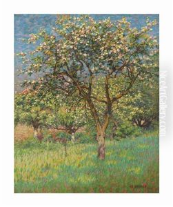 Blossoming Trees In Het Gooi by Co Breman