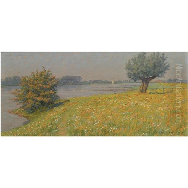Voorjaar Aan Den Rijn - view 1