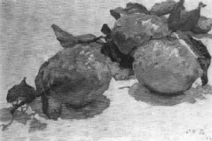 Still Life With Lemons by Co Breman