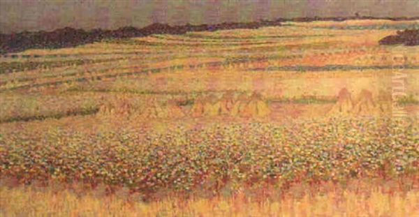 Landscape Near Blaricum - view 1