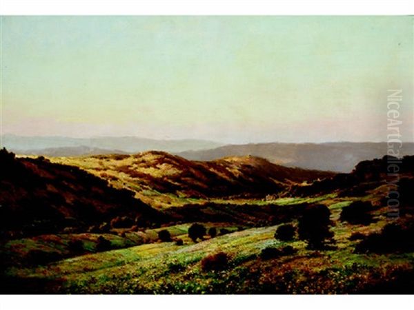 Landscape - view 1