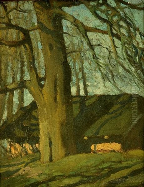 Secular Trees - view 1