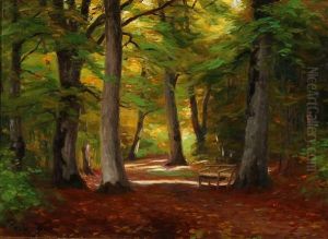 Forest Clearing With An Empty Bench