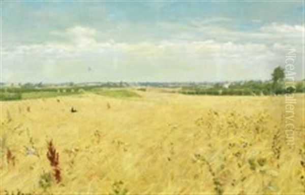 Harvest Landscape At Korinth, Funen - view 1