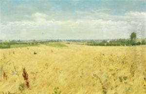 Harvest Landscape At Korinth, Funen