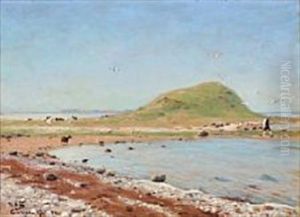 Beach Scene With Sheep And A Walking Man