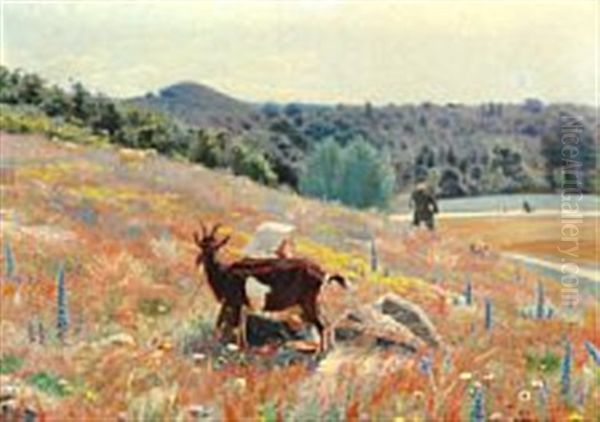 Summer Landscape - view 1