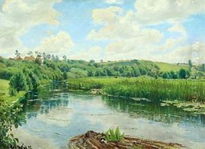 A Summer's Day At The Susaen Stream