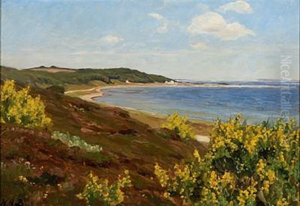 View From Legind Bjerge On Mors, Denmark - view 1