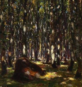 Sunlight In The Woods