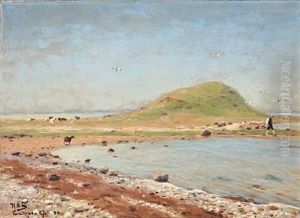 Beach Scene With Sheep And A Walking Man